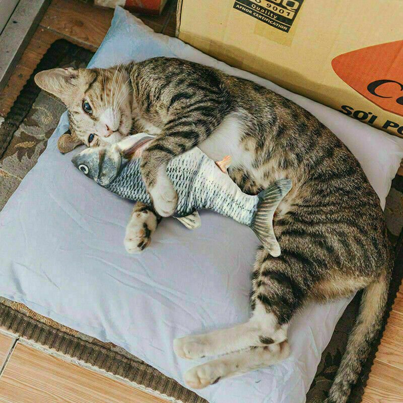 Electric Fish Cat Toy Realistic Interactive Kicker Jumping Dancing Kitten Toys - Image 4