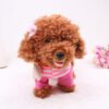 walking, singing, twisting, tidy, electronic toys - Image 3